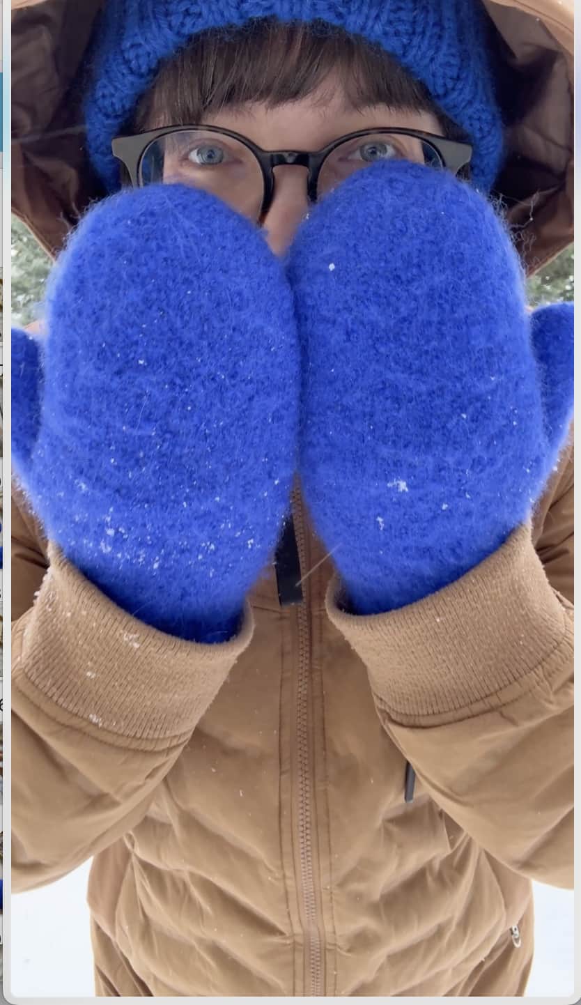 Siniset huovutetut lapaset